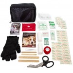 Basic Cat Emergency Kit